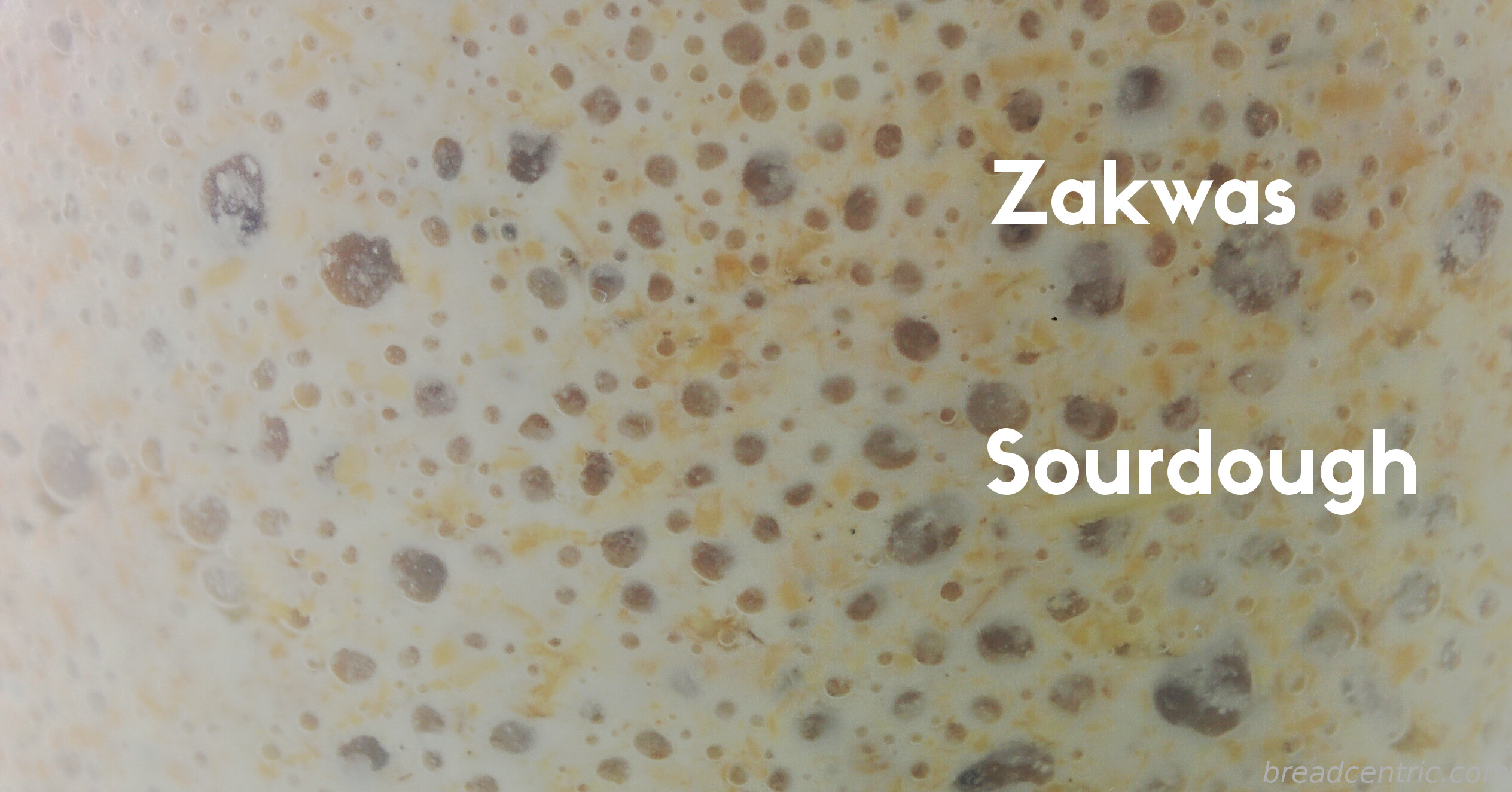 Sourdough. Zakwas.