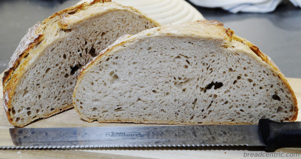 Silesian sourdough crumb