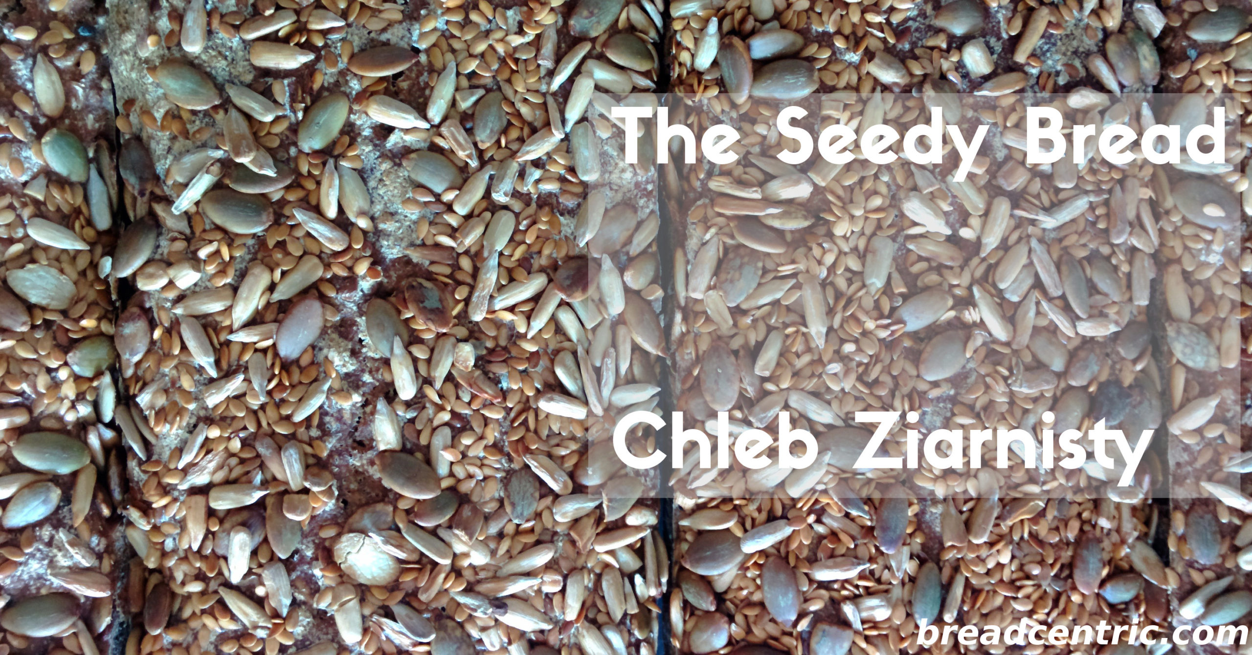 The Seedy Bread