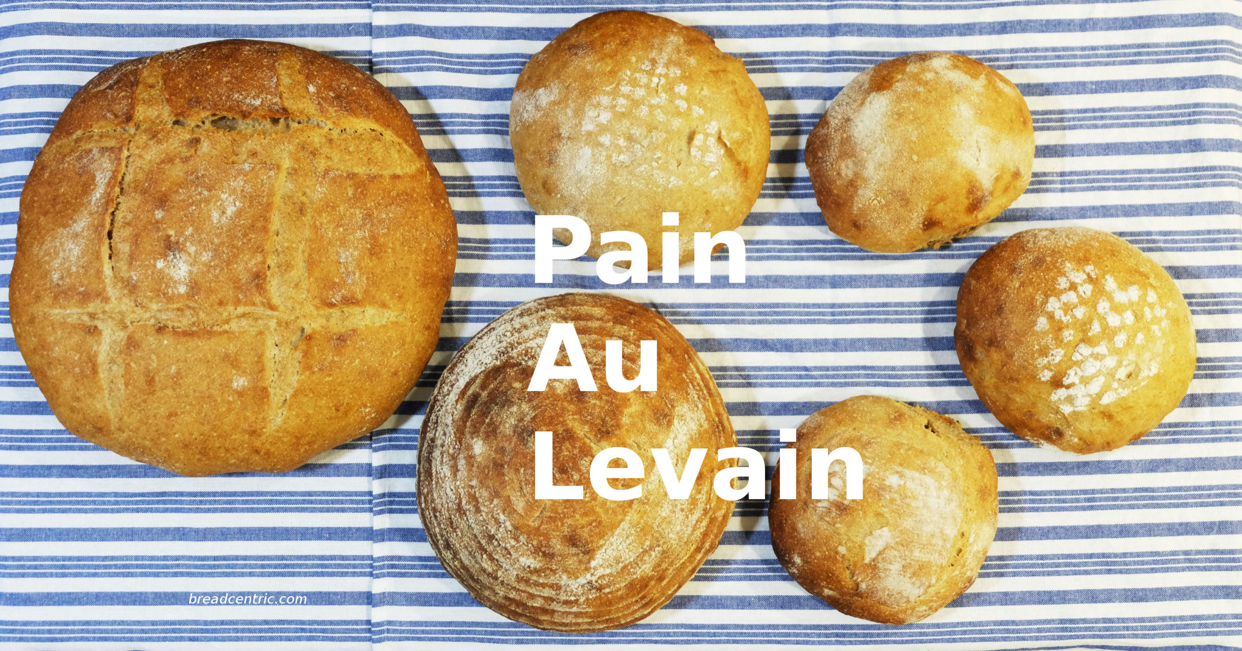Pain Au Levain