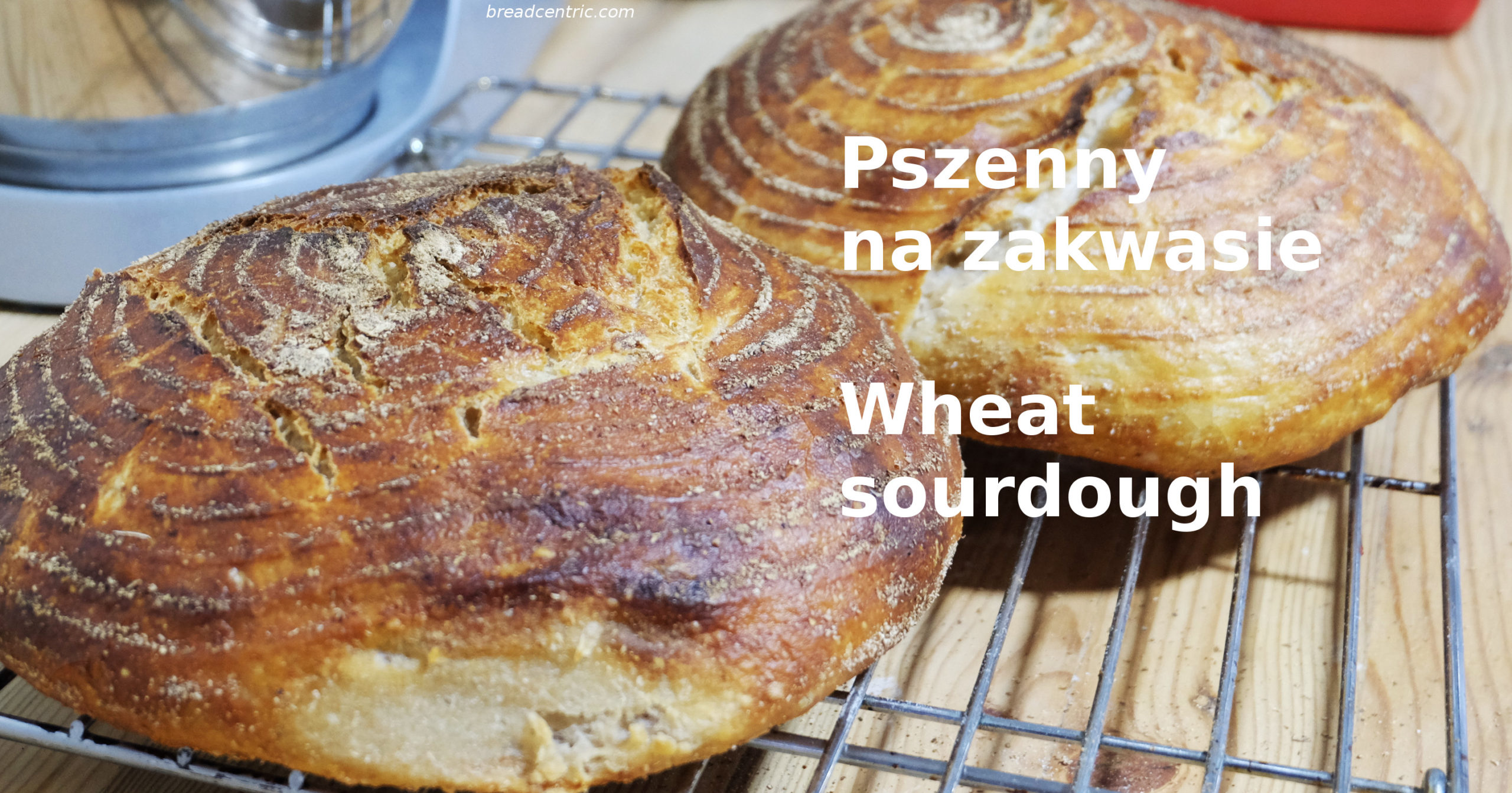 Wheat sourdough bread