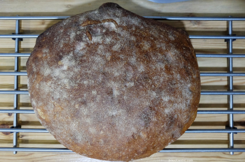 Spelt bread with honey