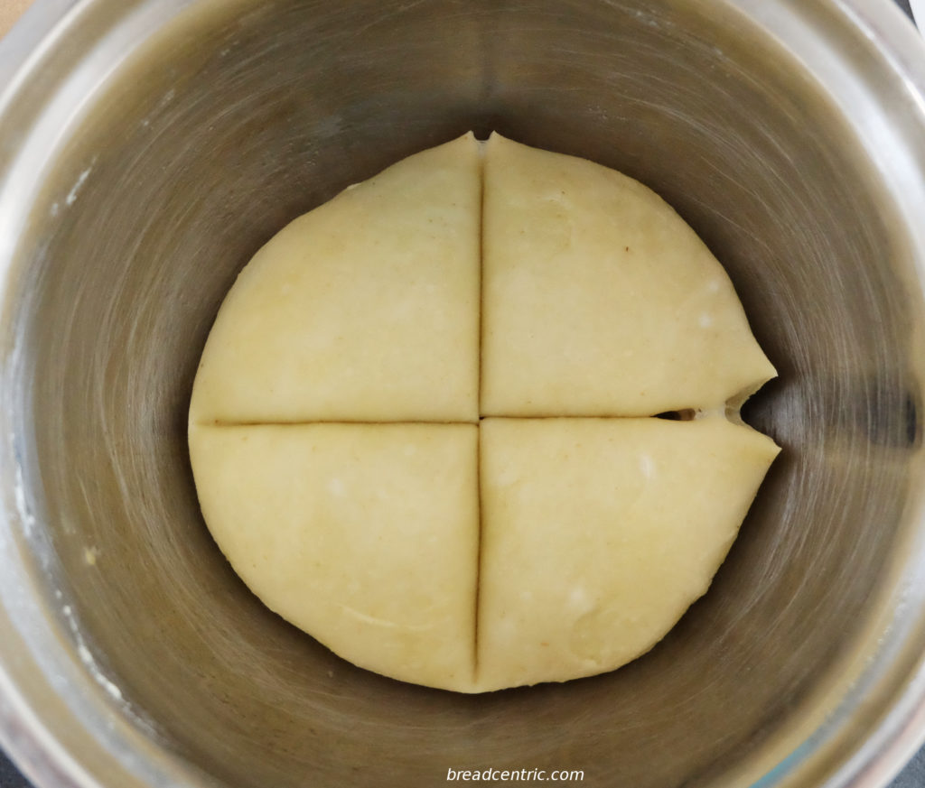 The dough, split in four