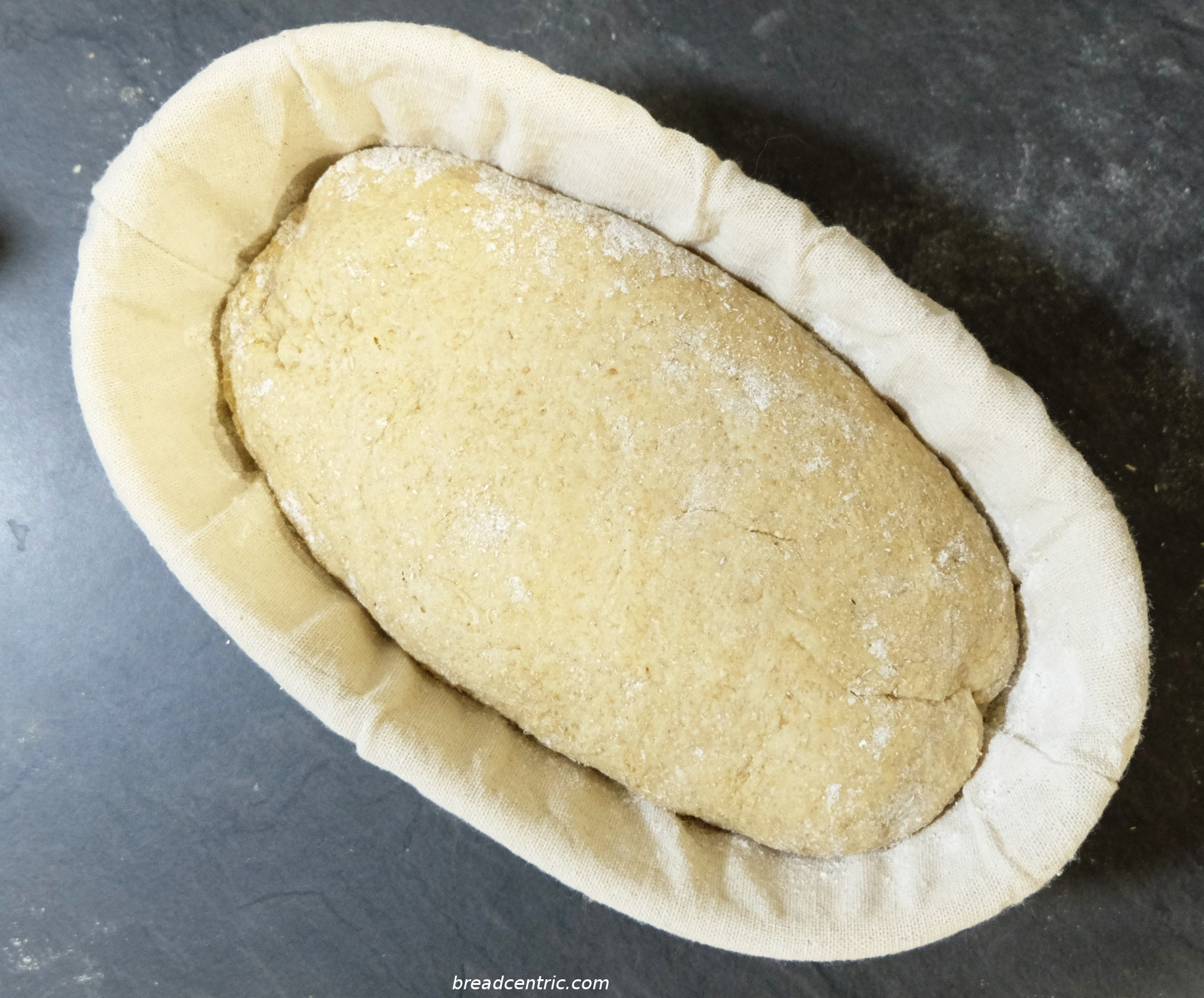 Khorasan wheat bread in a banneton Khorasan wheat bread in a banneton