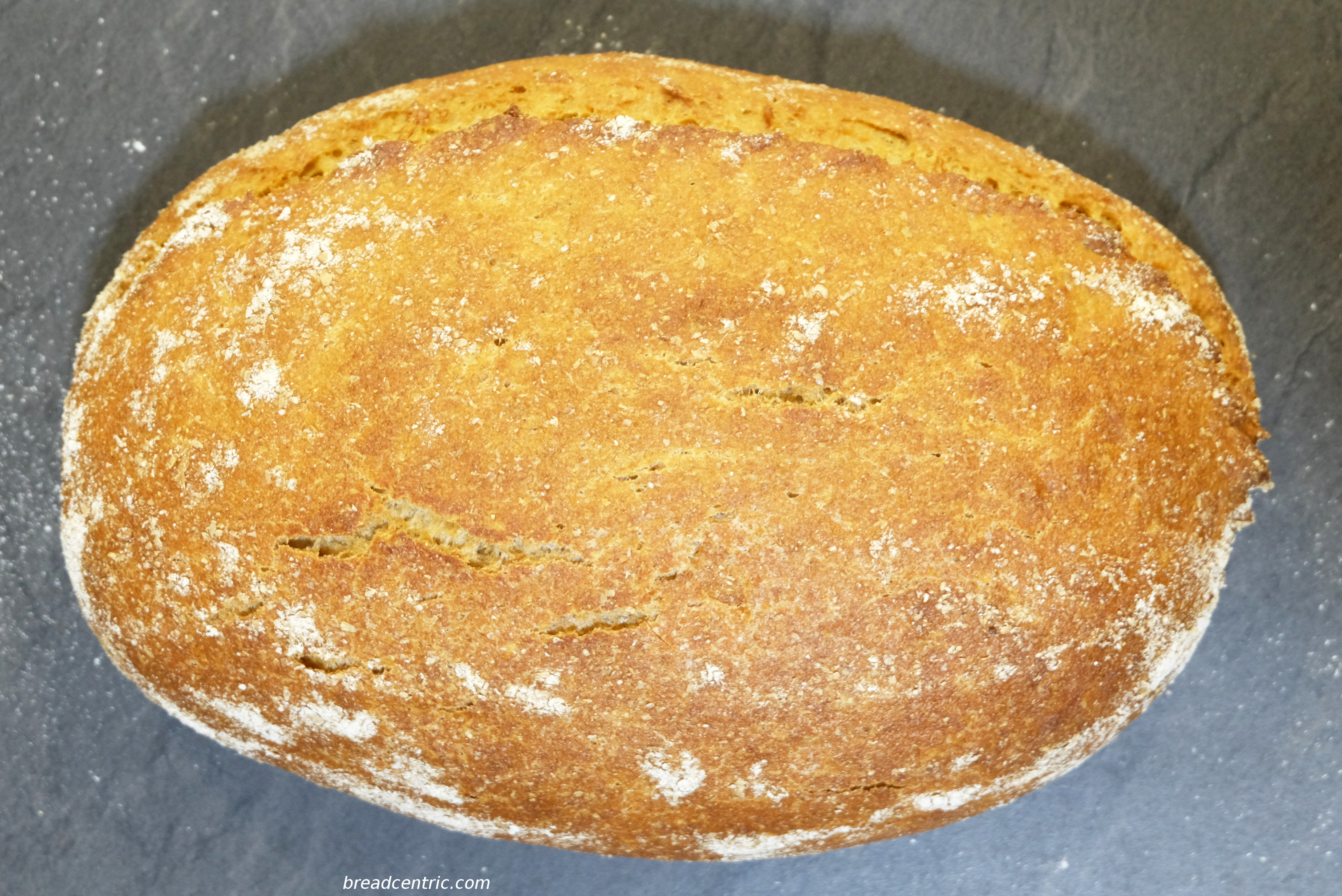 Khorasan wheat bread Khorasan wheat bread