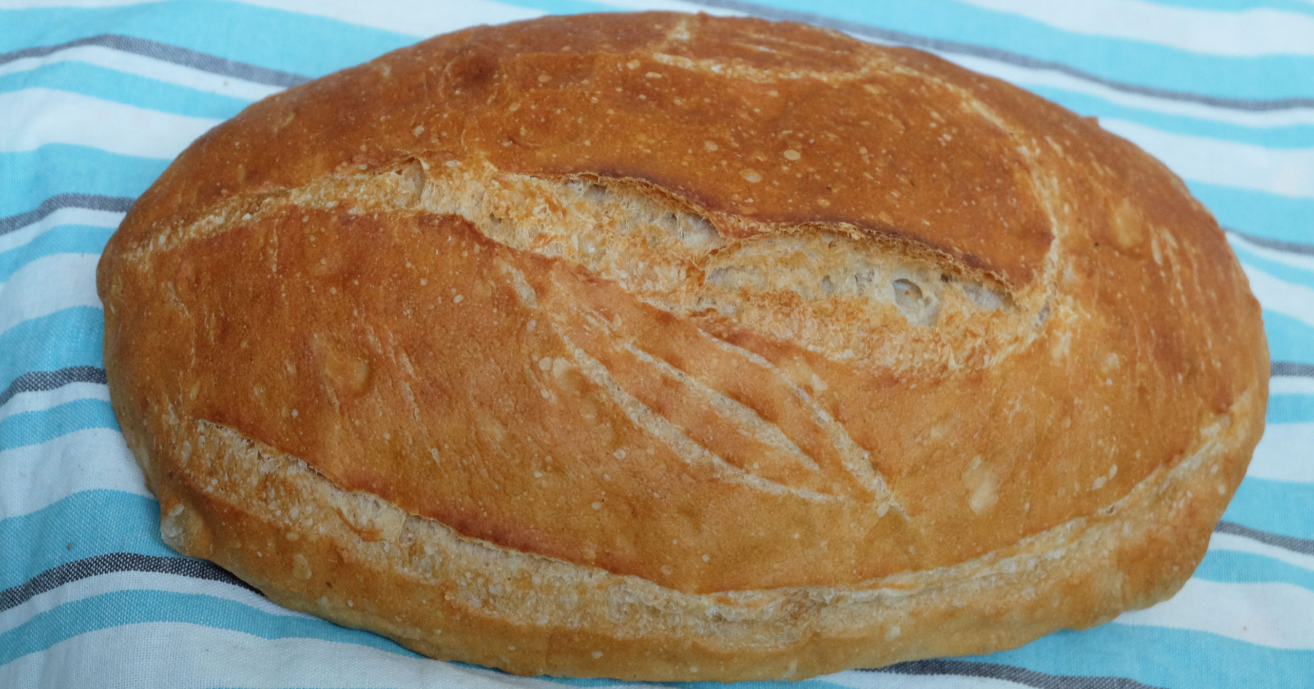 Leavened wheat bread