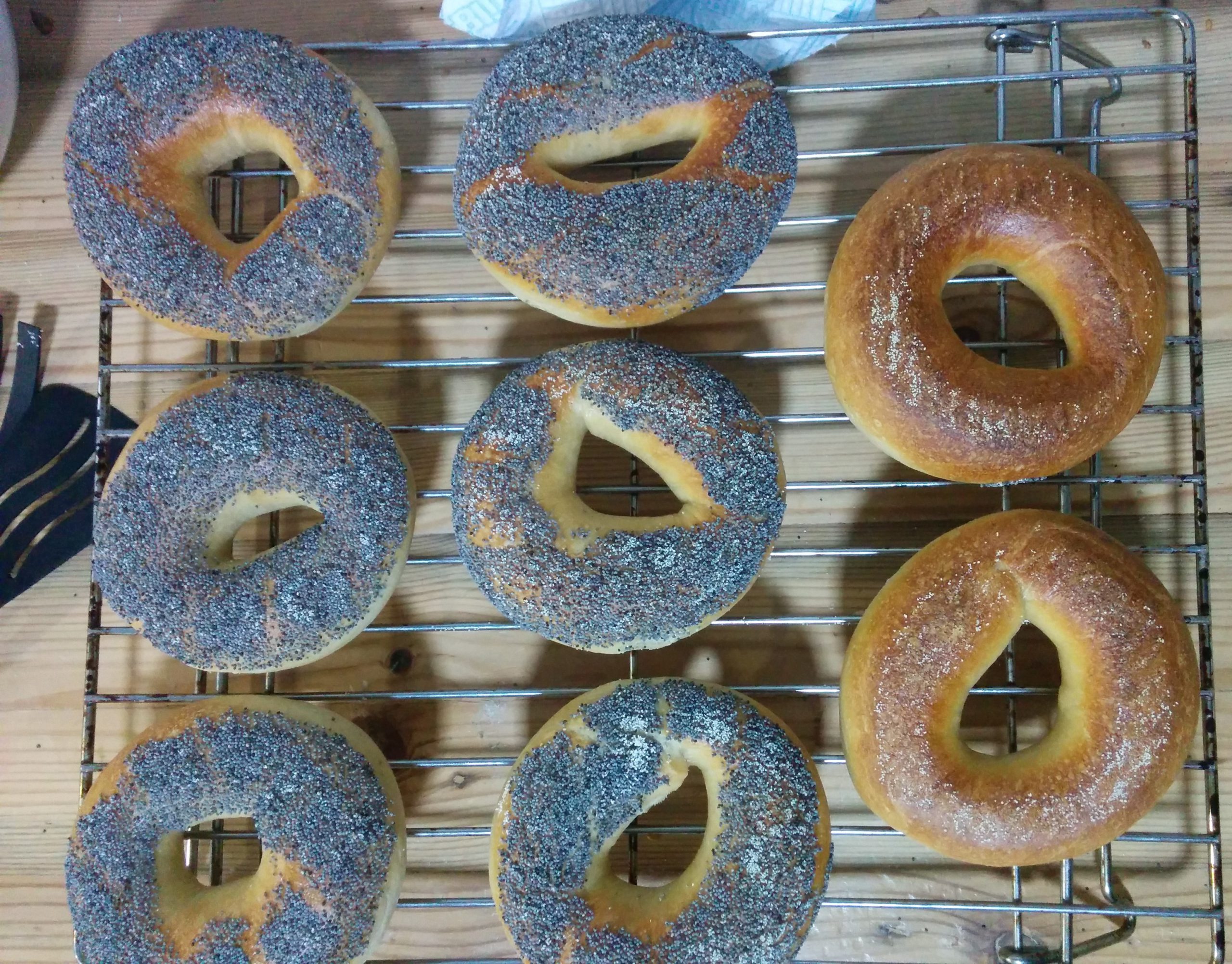 Bagels. Bajgle.