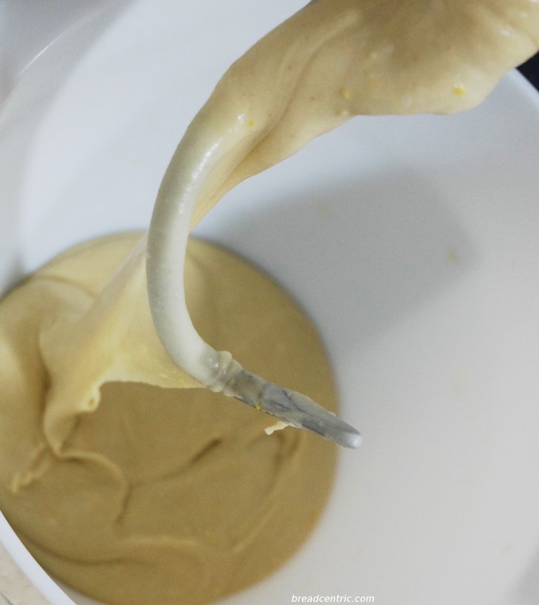 The dough is super stretchy, but it may also come out a bit rough and get so stretchy after the rise