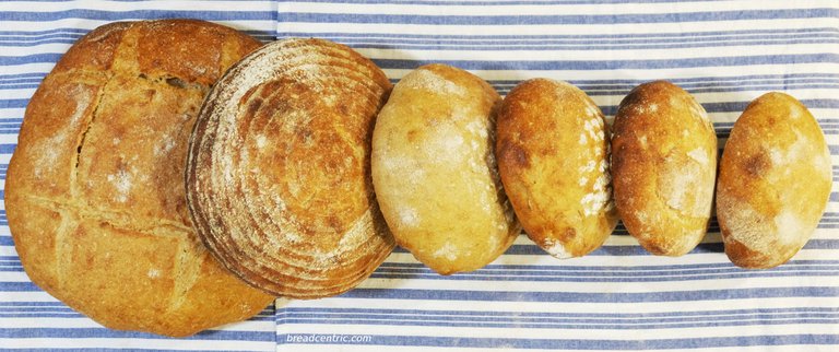 Pain Au Levain