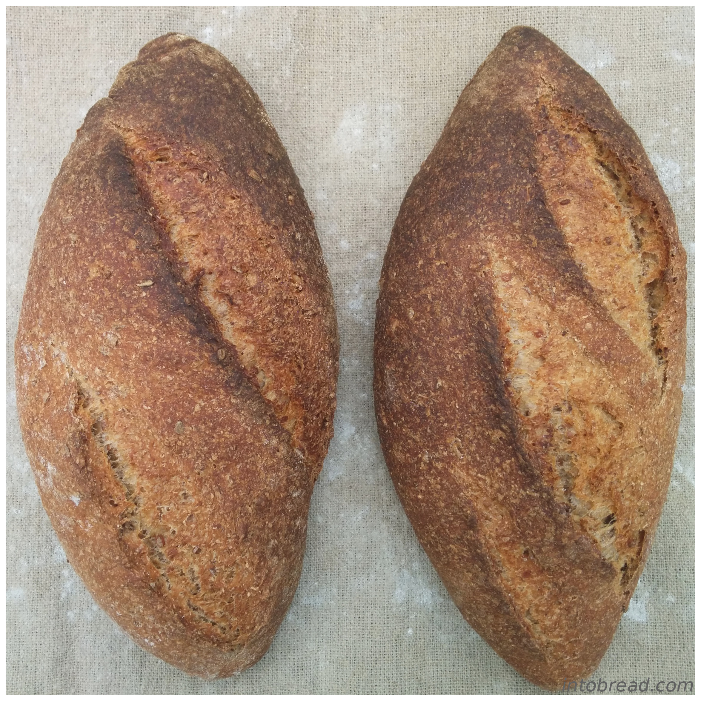 Whole wheat bread with seeds
