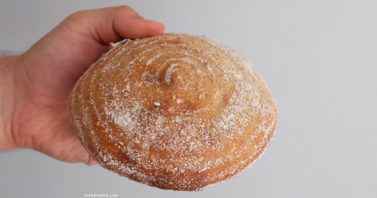 Rustic bread