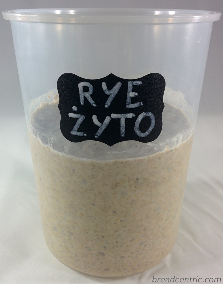 Rye sourdough