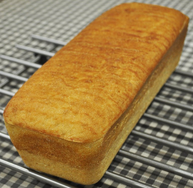 Toast sourdough