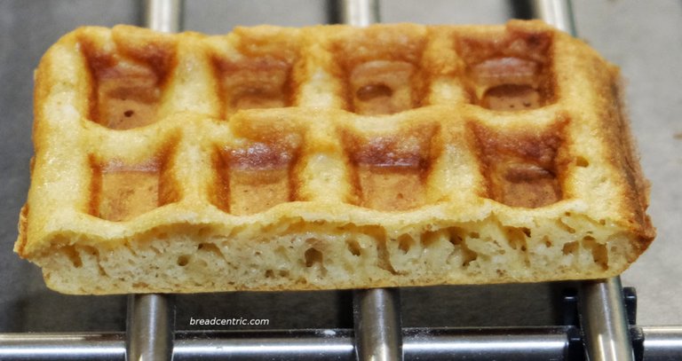 The crumb