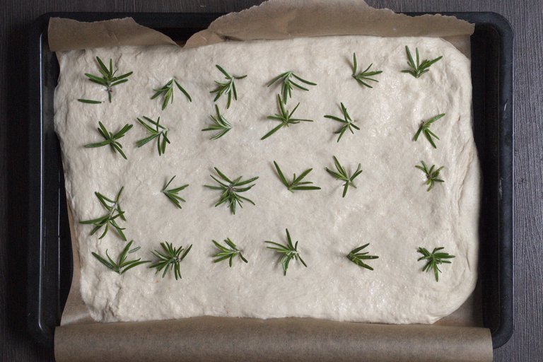 What the focaccia!?