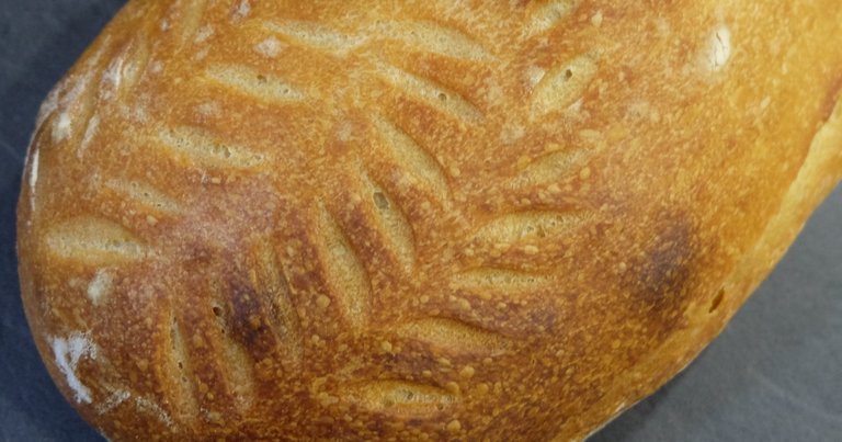 White sourdough