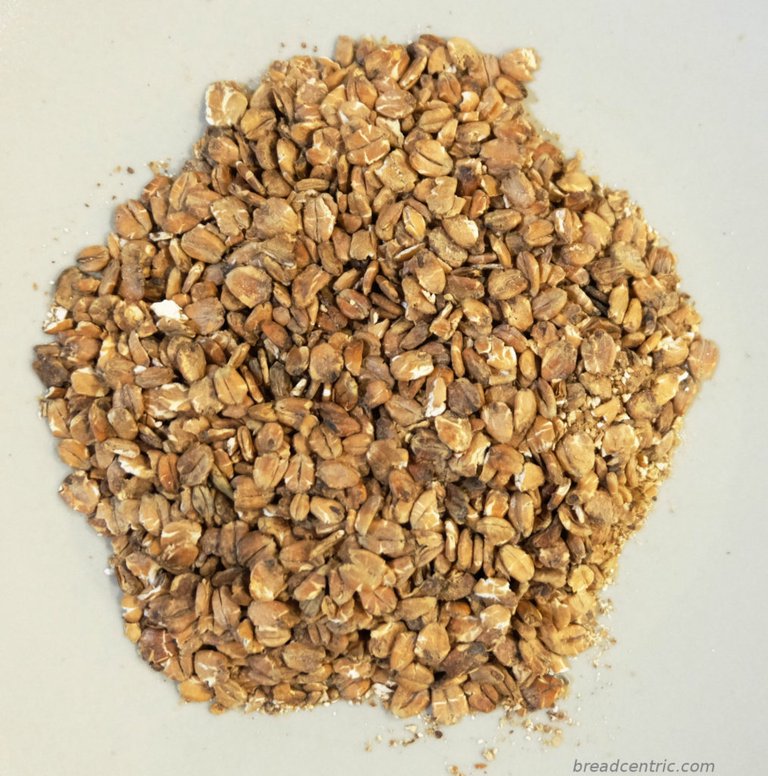 Malted rolled wheat