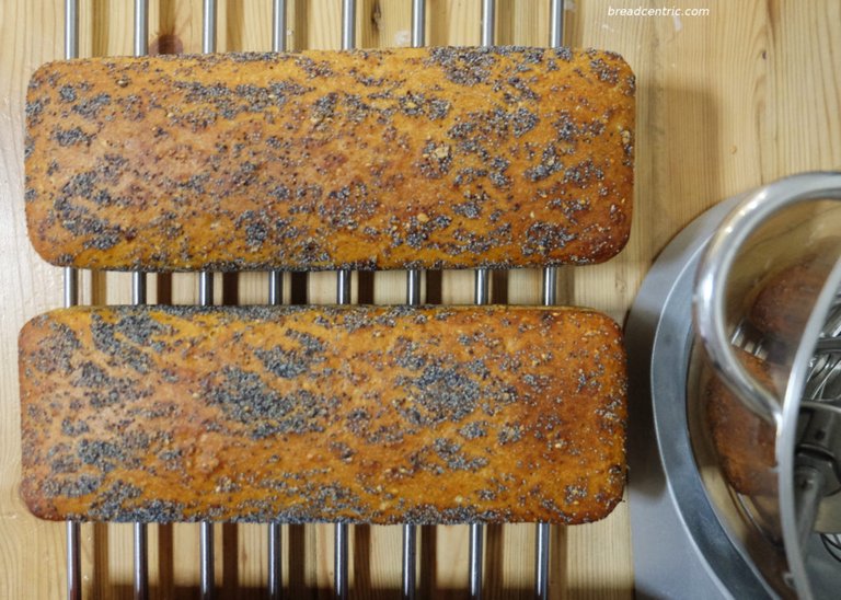 Ready bread