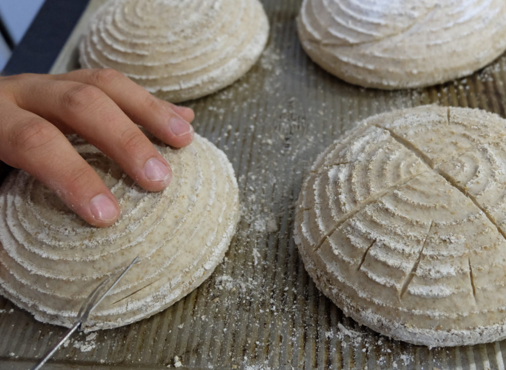 Scoring the loaves